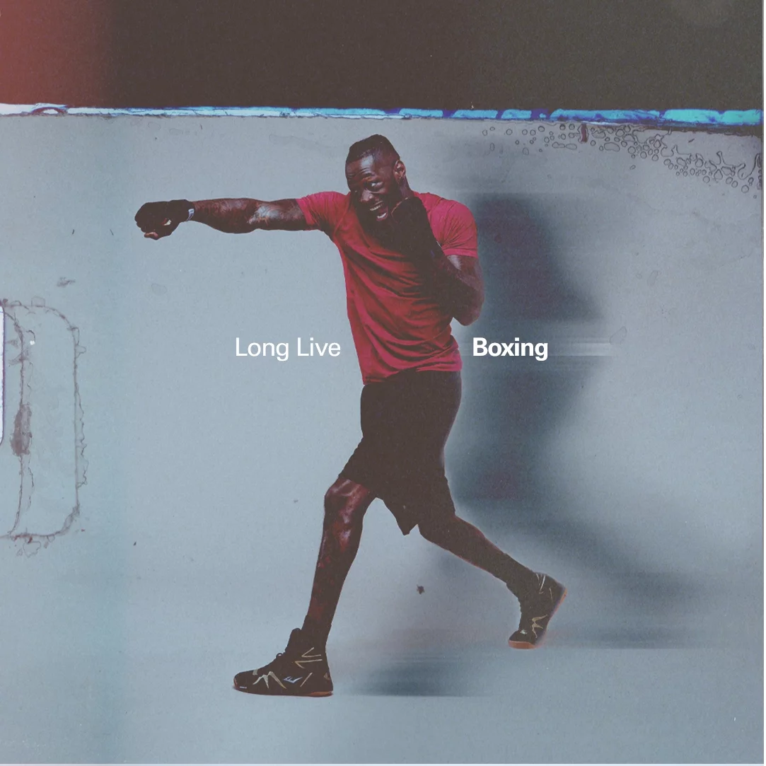 Everlast Pro Style Training Boxing Glove, m/L, 12oz Blue