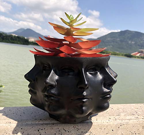 Multi-Face Succulent Planter Vase Small Face Plante Head Face Vase Home Decoration Succulent Cactus Indoor Plant Pot