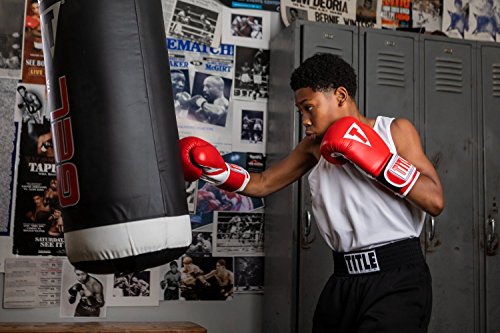 Title Classic Pro Style Training Gloves 3.0 - Boxing Gloves, Boxing Training Gloves, MMA Gloves, Oz Training Gloves, Kickboxing Gloves, Punching Bag Gloves, Sparring Gloves