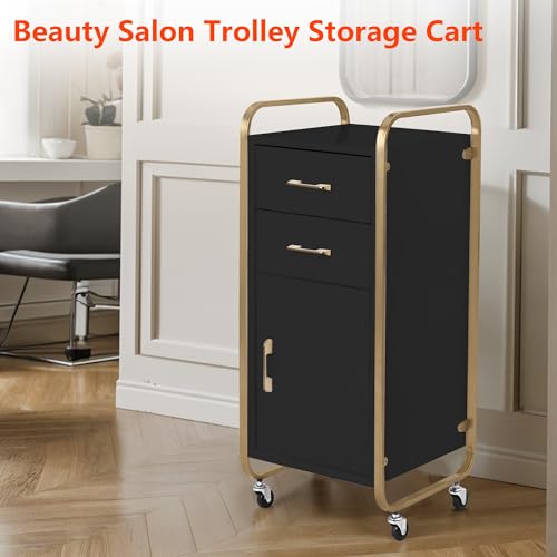 Salon Storage Trolley Cart with Wheels, No Installation Salon Stations for Hair Stylist, Salon Storage Cabinets, Rolling Salon Station for Beauty Spa Barbershop Tattoo