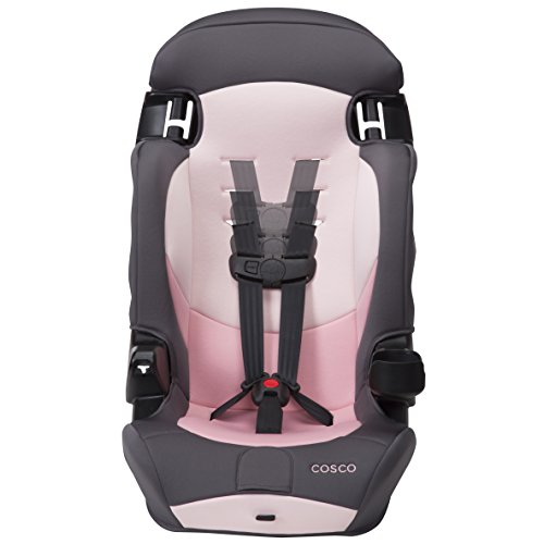 Cosco® Finale DX 2-in-1 Booster Car Seat, Dusk