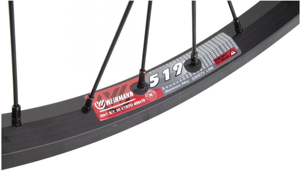 Wheel Master Rear Bicycle Wheel 20 x 1.75 36H, Alloy, Bolt On, Black, KT Coaster