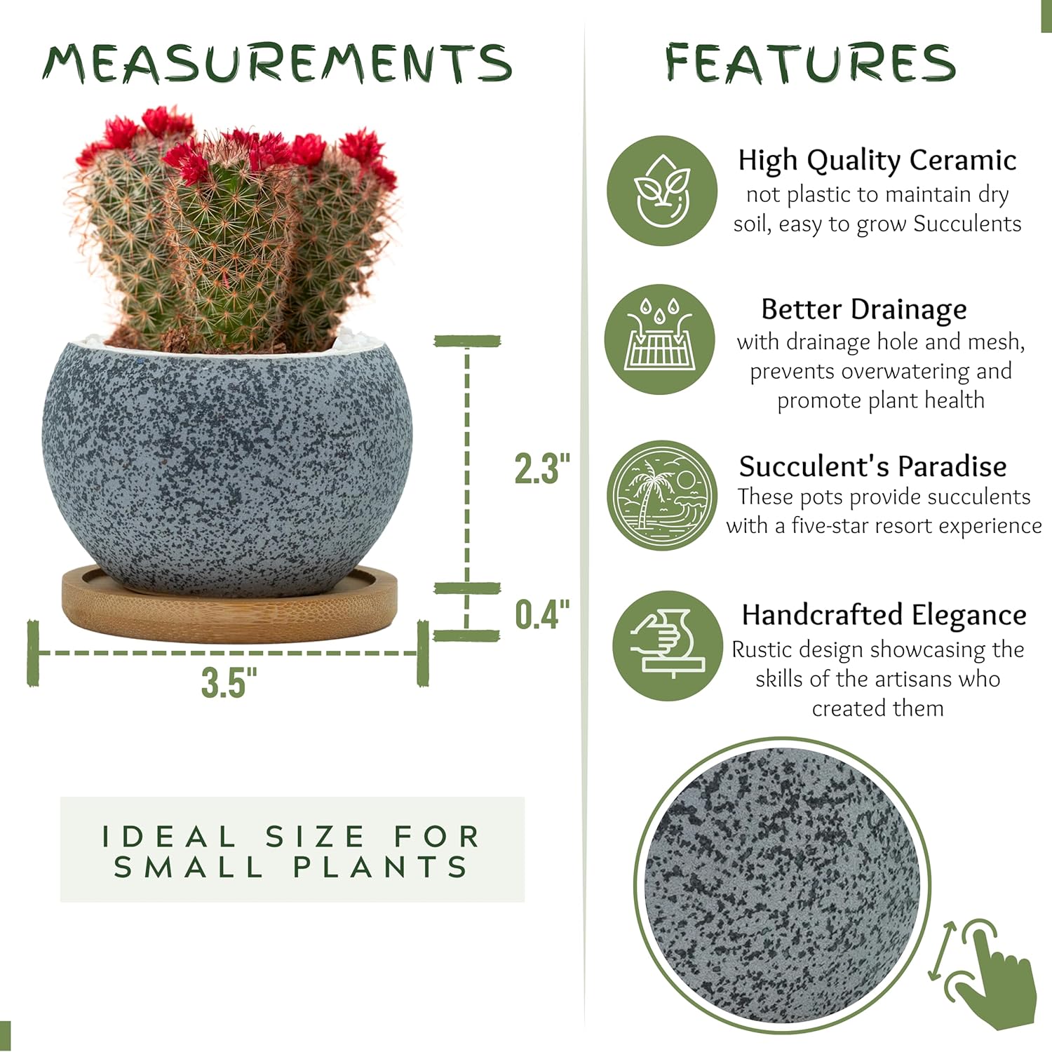 3 inch Ceramic pots for Plants, Small Succulent Pots Set with Drainage, 6 Pack Flower Pot for Indoor Plant, Decorative Planters for Little or Mini Cactus