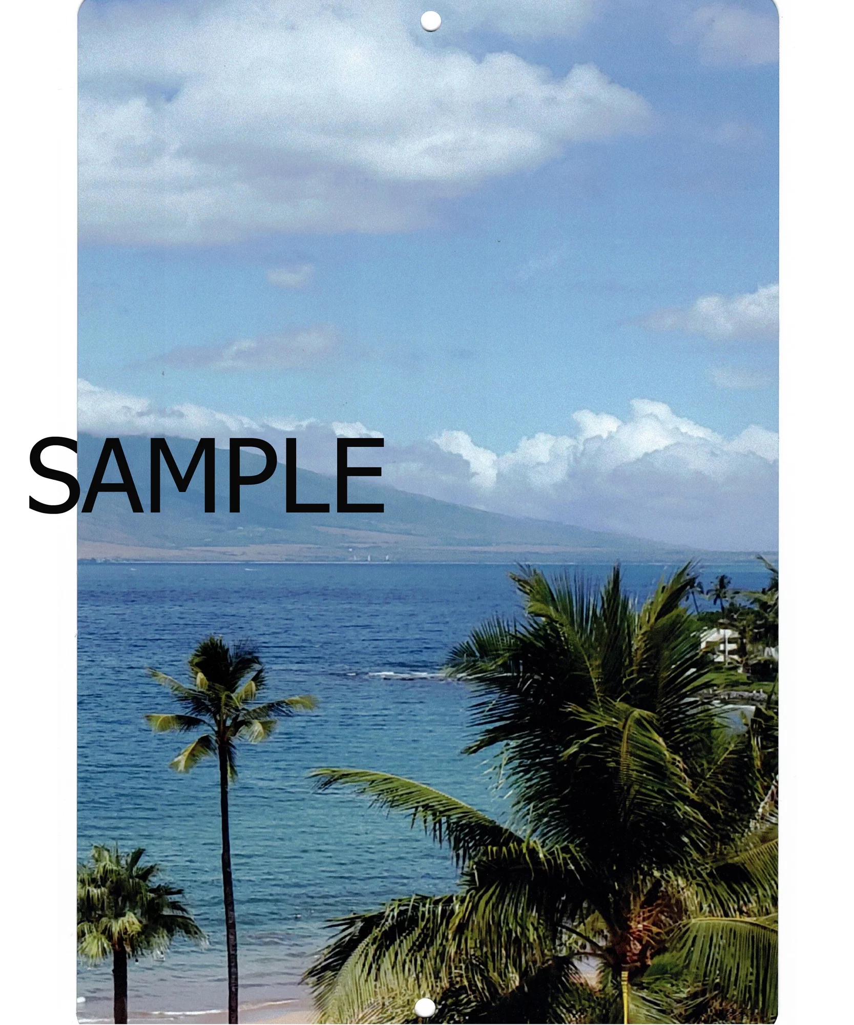 True Blood Poster Rehydrate Metal Print 12x16 Large Print on Metal 12x16 Square Adults Best Posters