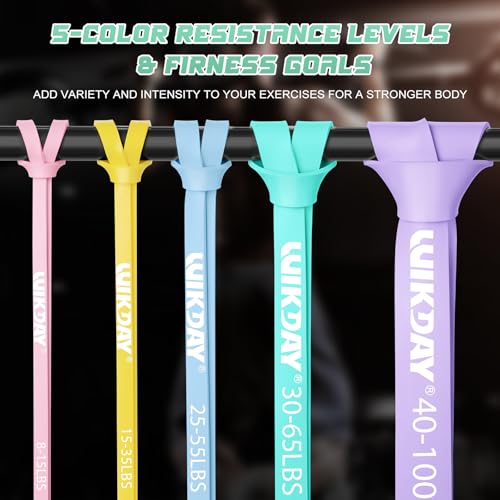 Resistance Bands, Pull Up Bands, Workout Bands for Exercise, Thick Heavy Resistance Band Set with Door Anchor, Elastic Bands for Body Stretching, Crossfit Training at Home/Gym Men & Women Women