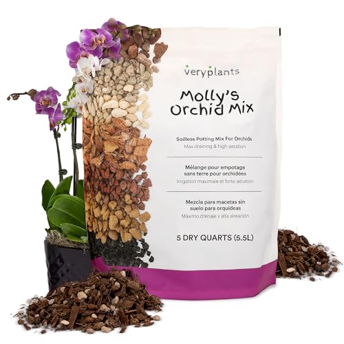 Molly's Succulent Mix - Premium Gritty Soilless Potting Mix for Succulents, Cactus and Bonsai - Contains Akadama, Hyuga, Bark Fines, Pumice, Lava Rock, Mycorrhizae 5 Dry Quarts