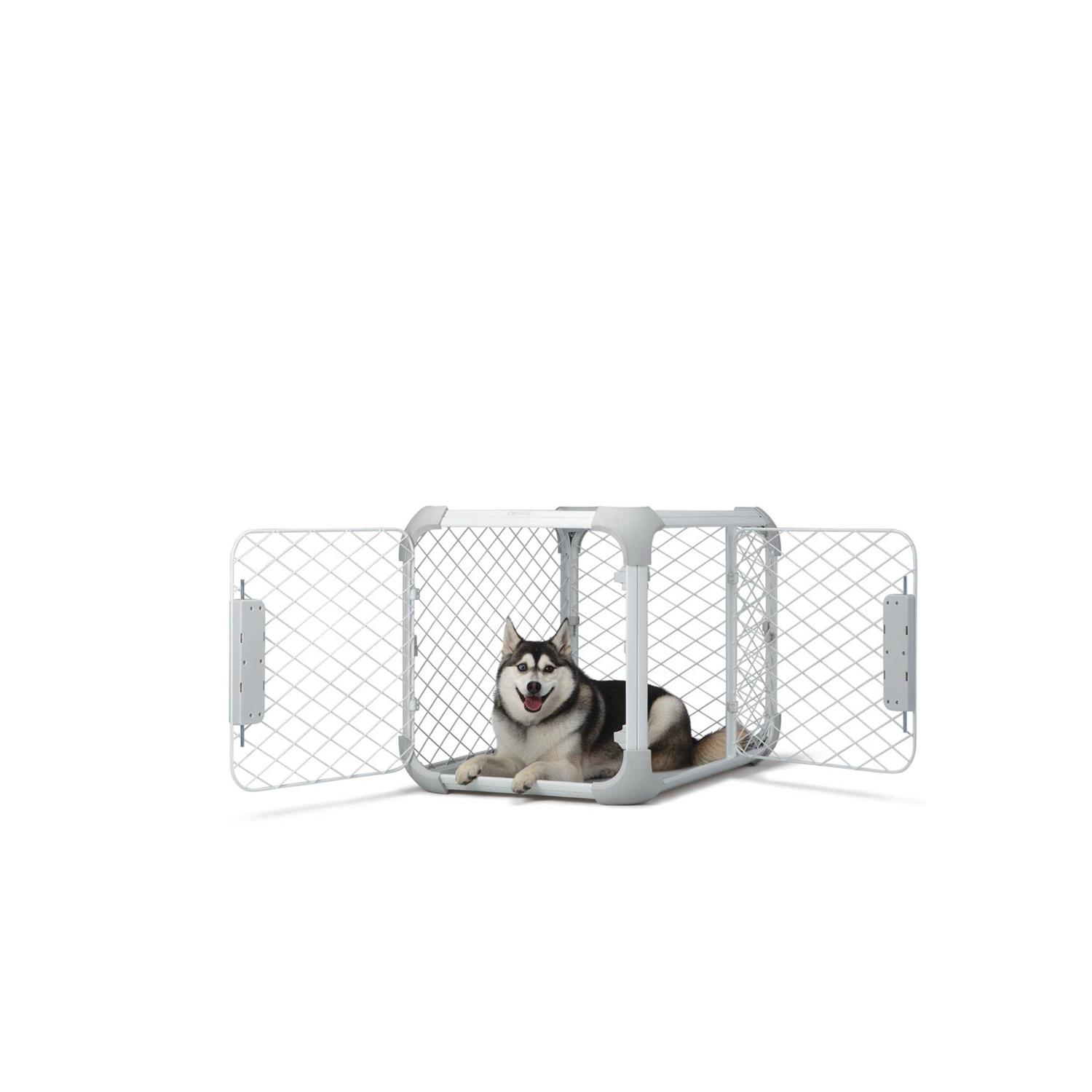 Diggs Evolv Dog Crate - Pet Supplies online store
