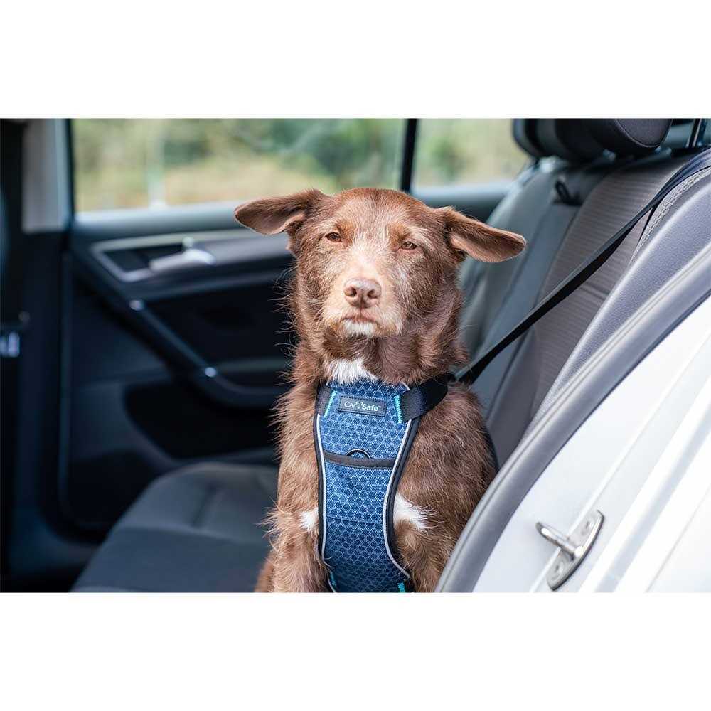 Carsafe Crash Tested Dog Harness - Pet Supplies online store