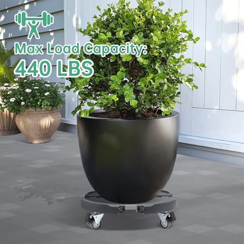 W B D WEIBIDA Plant Caddies with Wheels 2 Pack Heavy Duty Rolling Plant Stand Large Potted Plant Dolly Cart Garden Pot Mover
