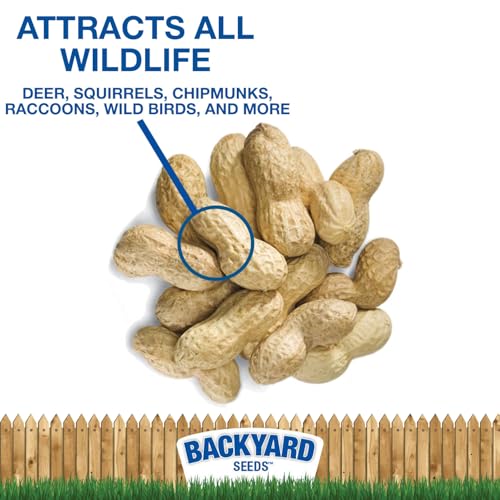 CountryMax in-Shell Raw Peanuts - Bulk Unprocessed for Wildlife Animal Food, Squirrels Chipmunks Raccoons Deer Waterfowl 25 Pounds