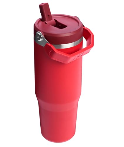 Stanley IceFlow Flip Straw Tumbler with Handle 30 oz | Twist On Lid and Flip Up Straw | Leak Resistant Water Bottle | Insulated Stainless Steel |BPA-Free | Lilac