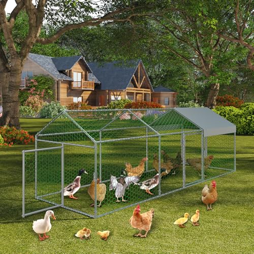 Large Metal Chicken Coop 120