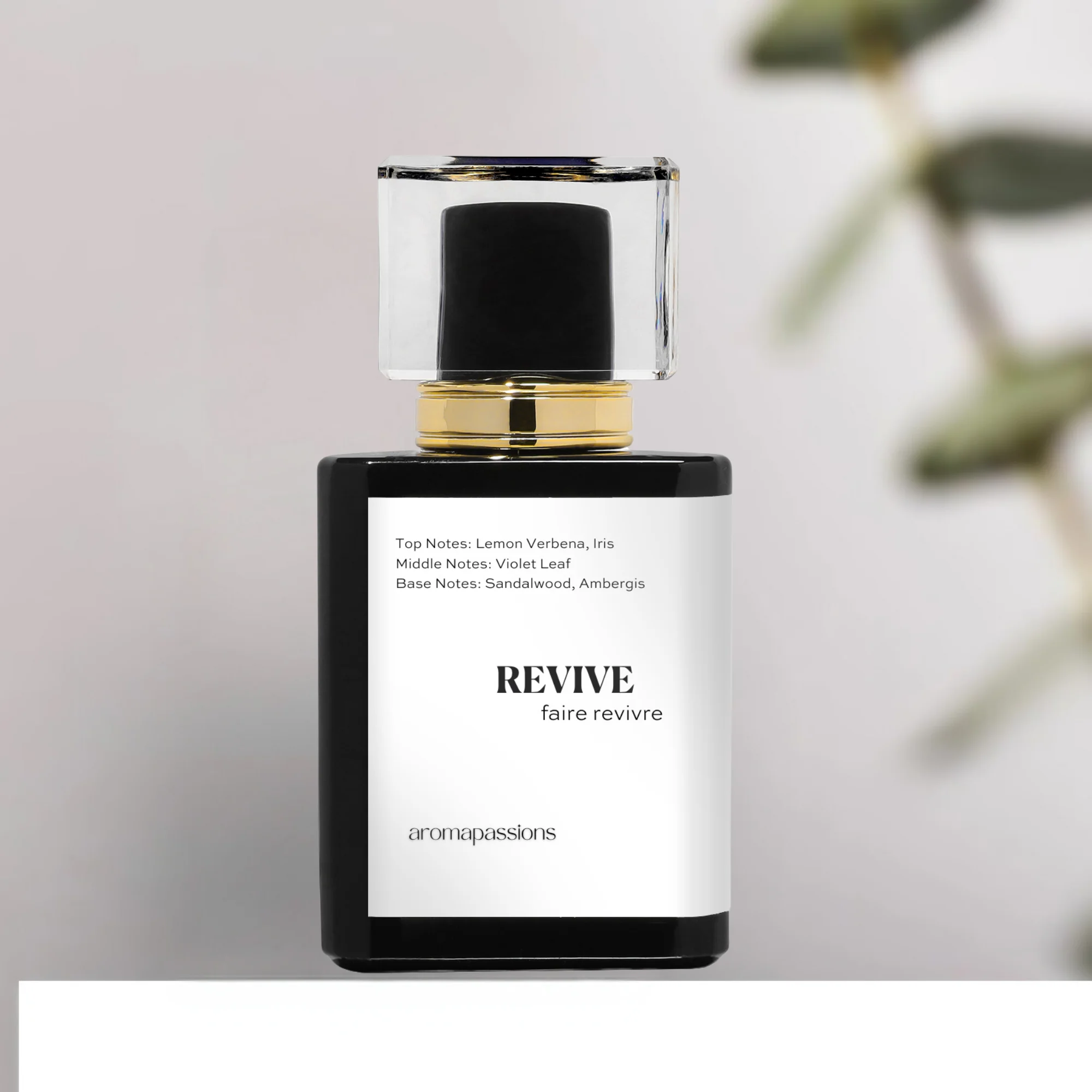 REVIVE | Inspired by Creed GREEN IRISH TWEED | Pheromone Perfume for Men | Extrait De Parfum | Long Lasting