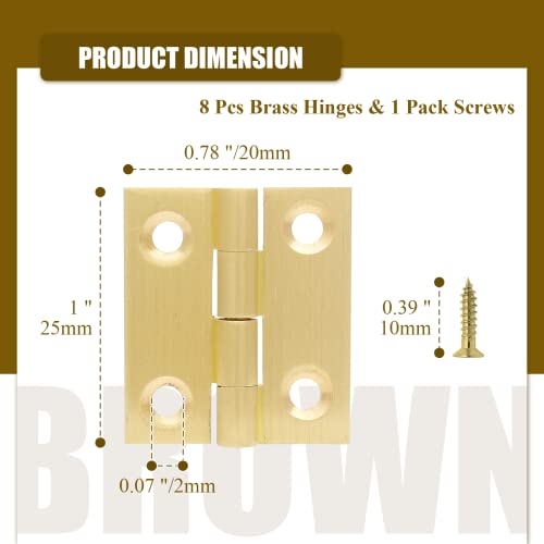 Suiwotin Brass Hinges