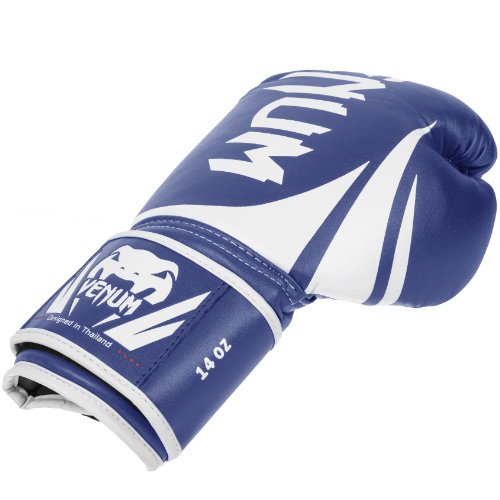 Venum Challenger 2.0 Boxing Gloves