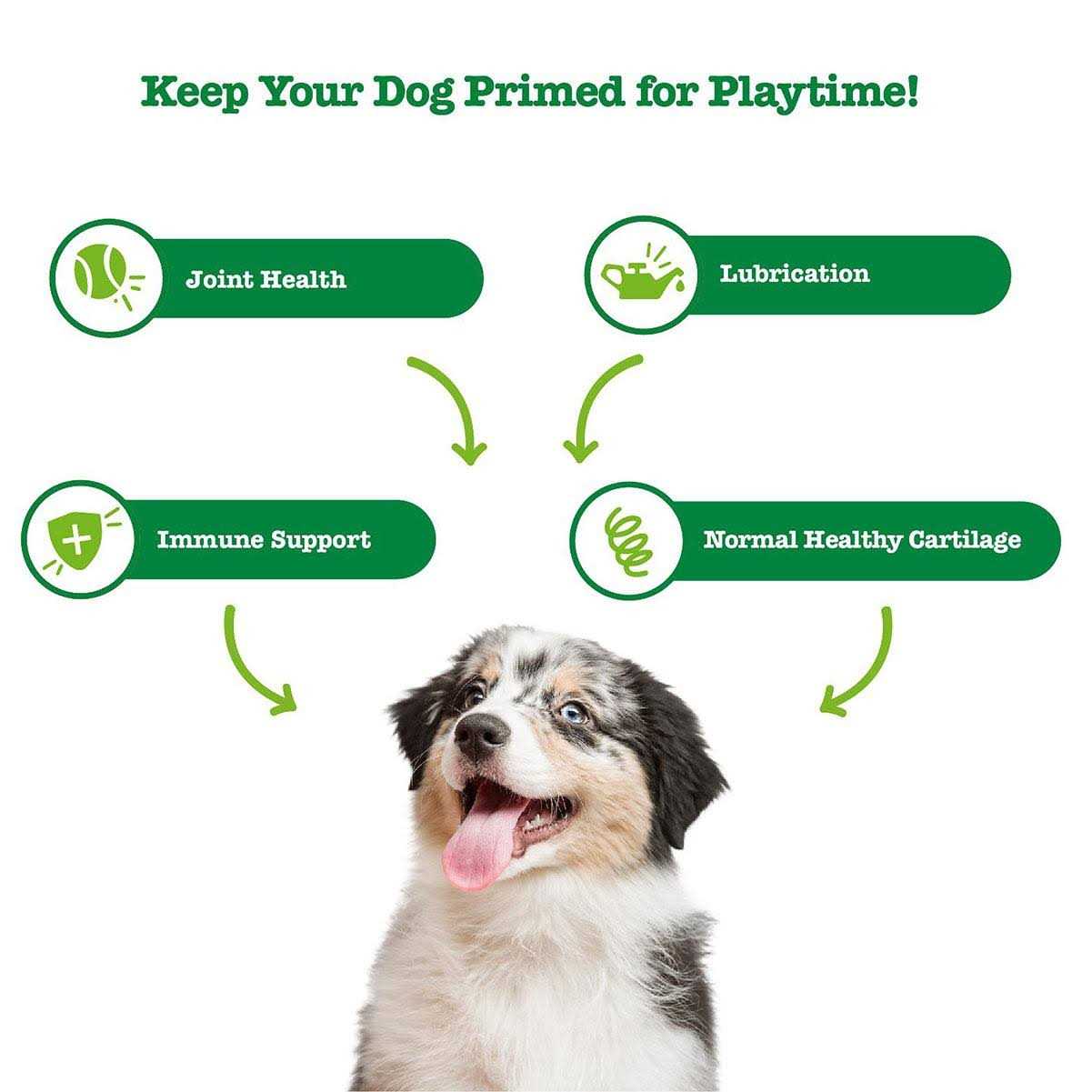 Zesty Paws Hemp Elements Mobility Bites for Dogs - Pet Supplies online store