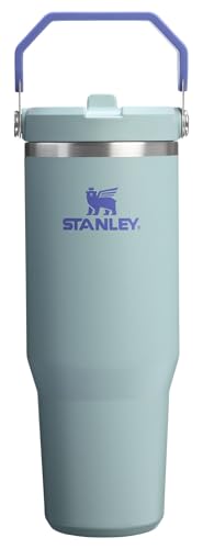 Stanley IceFlow Flip Straw Tumbler with Handle 30 oz | Twist On Lid and Flip Up Straw | Leak Resistant Water Bottle | Insulated Stainless Steel |BPA-Free | Lilac