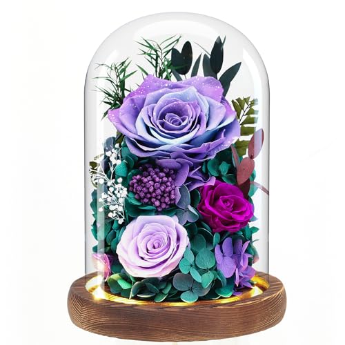 Forever Fresh Rose Flower Bouquet in Glass Dome, Preserved Purple Flowers for Delivery Prime - Ideal Gift for Women, Mom, Grandma and Wife on Birthdays, Anniversaries, Mother's Day & Christmas