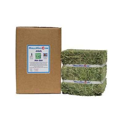 Hall's Hay Alfalfa Mini-Bale Small Pet Food, 6-lb box - Pet Supplies online store