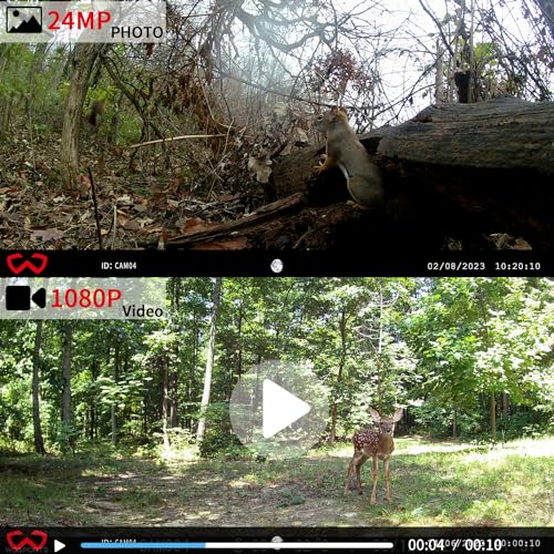 Mini Trail Camera 4 Pack 24MP 1080P HD, Game Cam with SD Card, Waterproof Tiny Hunting Camera Night Vision Motion Activated with Fast Trigger Time for Outdoor Wildlife Monitoring
