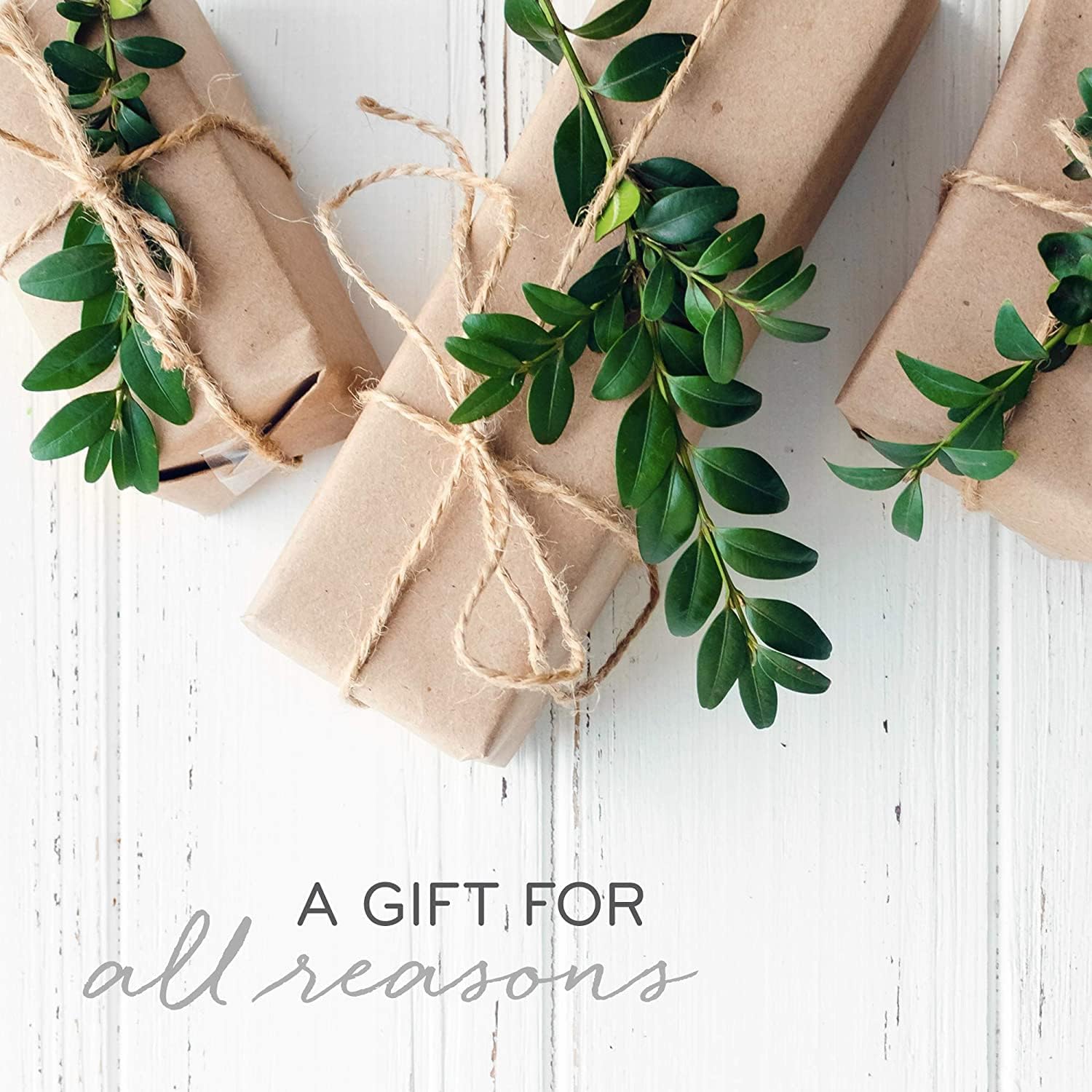 Thymes Frasier Fir Candle - Gilded Ceramic 3-Wick Jar Candle - Scented Candle with a Luxury Home Fragrance - Elegant Holiday Candle - Gilded White Candle with 24-Karate Gold Rim (20 oz)