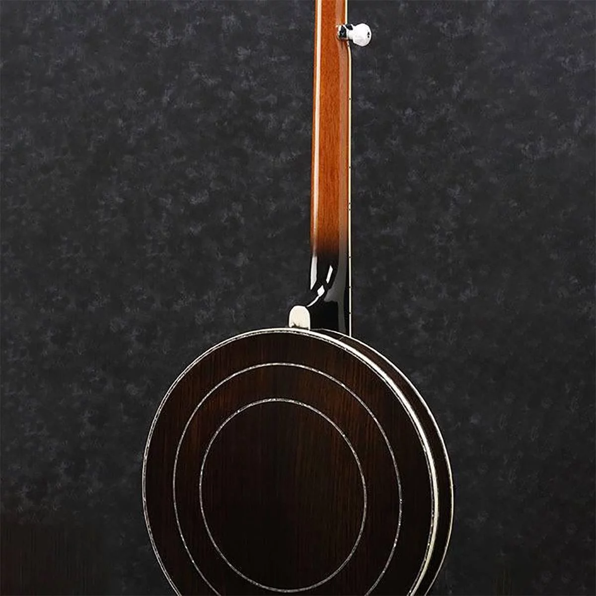 Ibanez B300 5-String Banjo