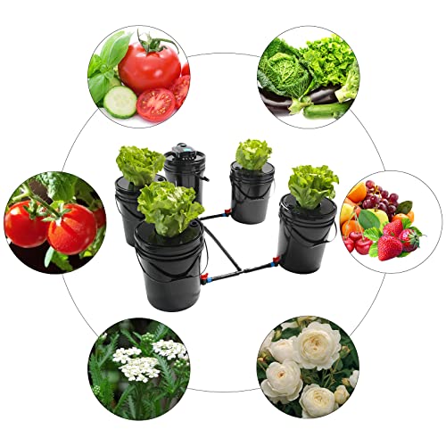 DWC Hydroponics Growing System, 5 Gallon 1 Bucket Deep Water Culture Recirculating Drip Garden System with Multi-Purpose Air Hose, Air Pump, and Air Stone