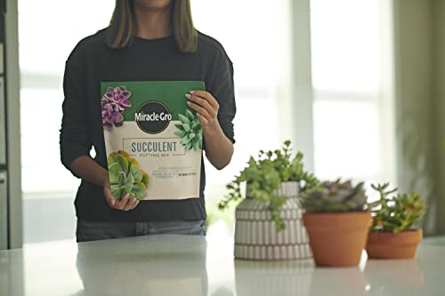 Miracle-Gro Houseplant Potting Mix - Fertilized Soil, Designed to be Less Prone to Gnats, 4 qt. (2-Pack)