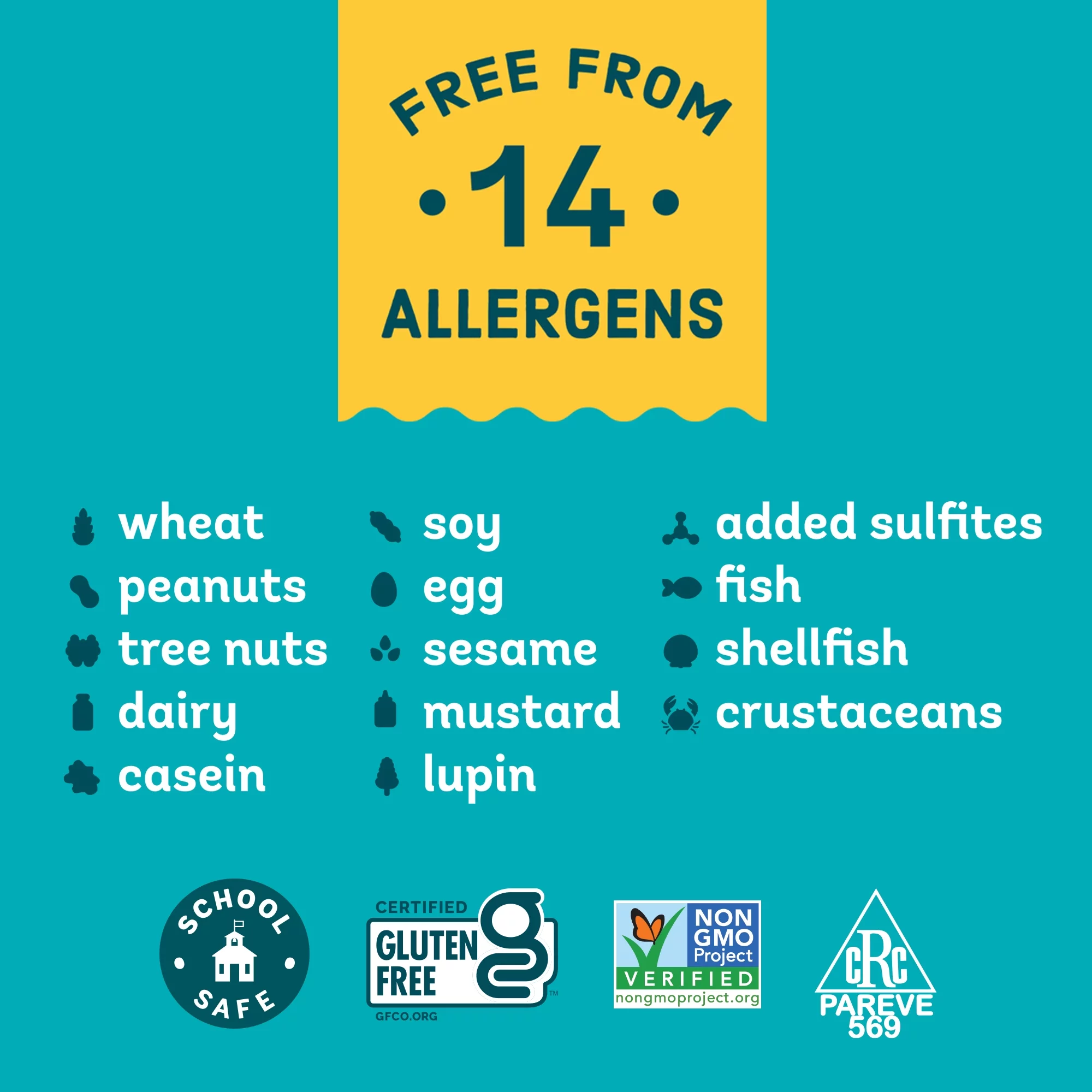 Enjoy Life Vegan Dark Chocolate Bars, Dairy Free Chocolate, Pack of 12