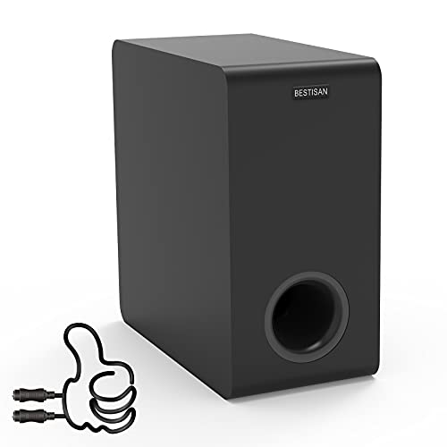 Powered Subwoofer, Bestisan 6.5