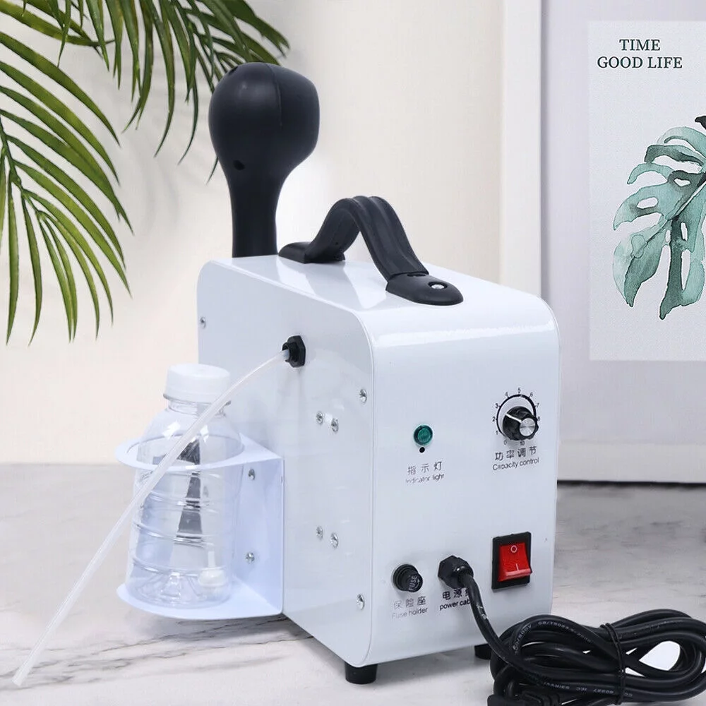 TFCFL Nano Steam Blue Sprayer Hair Steamer Mist Hair Salon Care Repair Machine 1.2KW