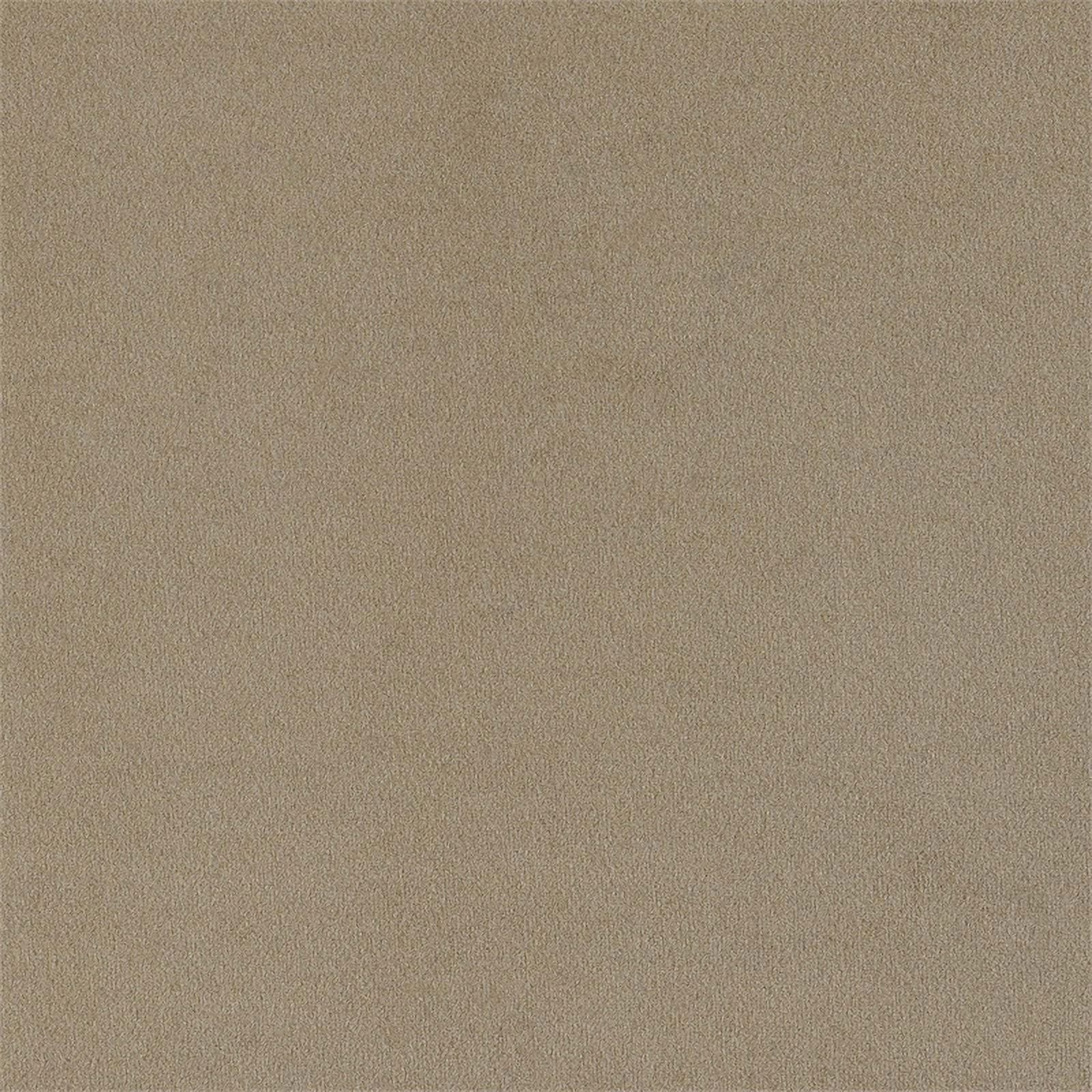 Coaster Rainn 2-piece Modern Fabric Upholstered Tight Back Living Room Set Latte