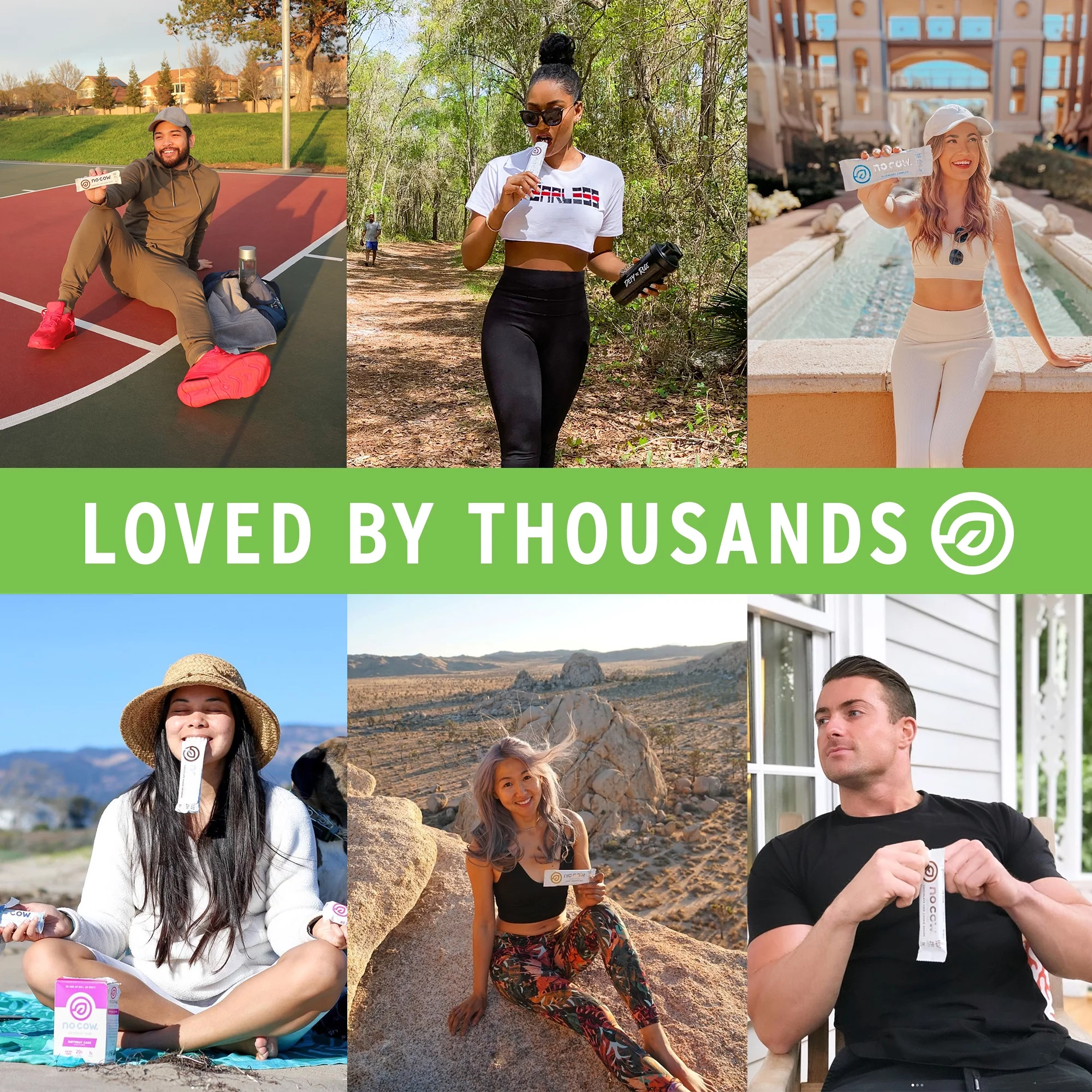 No Cow Dipped Protein Bars, Sampler Pack, Box of 12