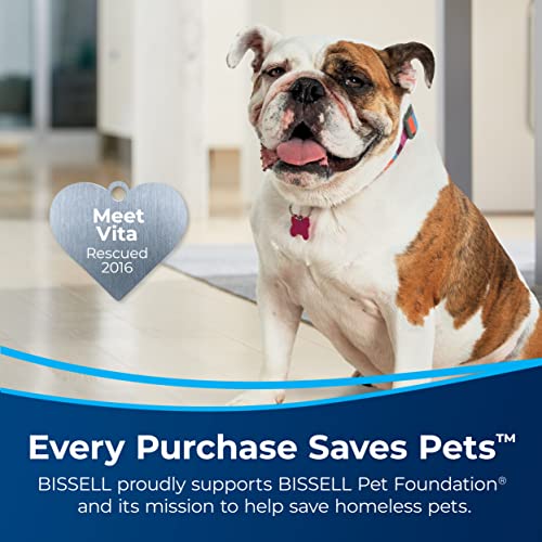 Bissell Little Green Pro Portable Carpet & Upholstery Cleaner and Car/Auto Detailer with Deep Stain Tool, 3