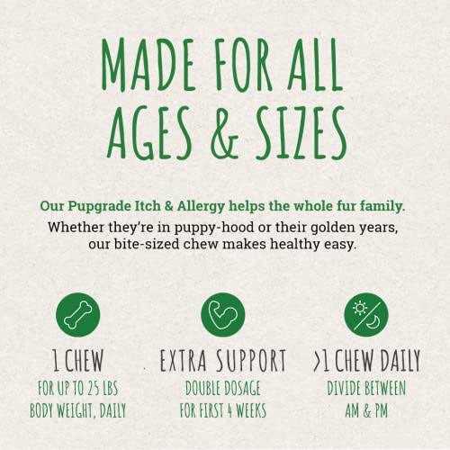 PupGrade Itch & Allergy Chew Supplement for Dogs Improved Immune Support & Seasonal Allergies with Alaskan Salmon Fish Oil - Pet Supplies online store