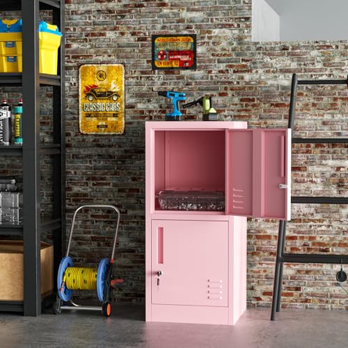 2 Door Metal Locker Storage Cabinet with Locking Doors and Shelves File Cabinet Organizer Suitable for Office, Home, Living Room (Black)