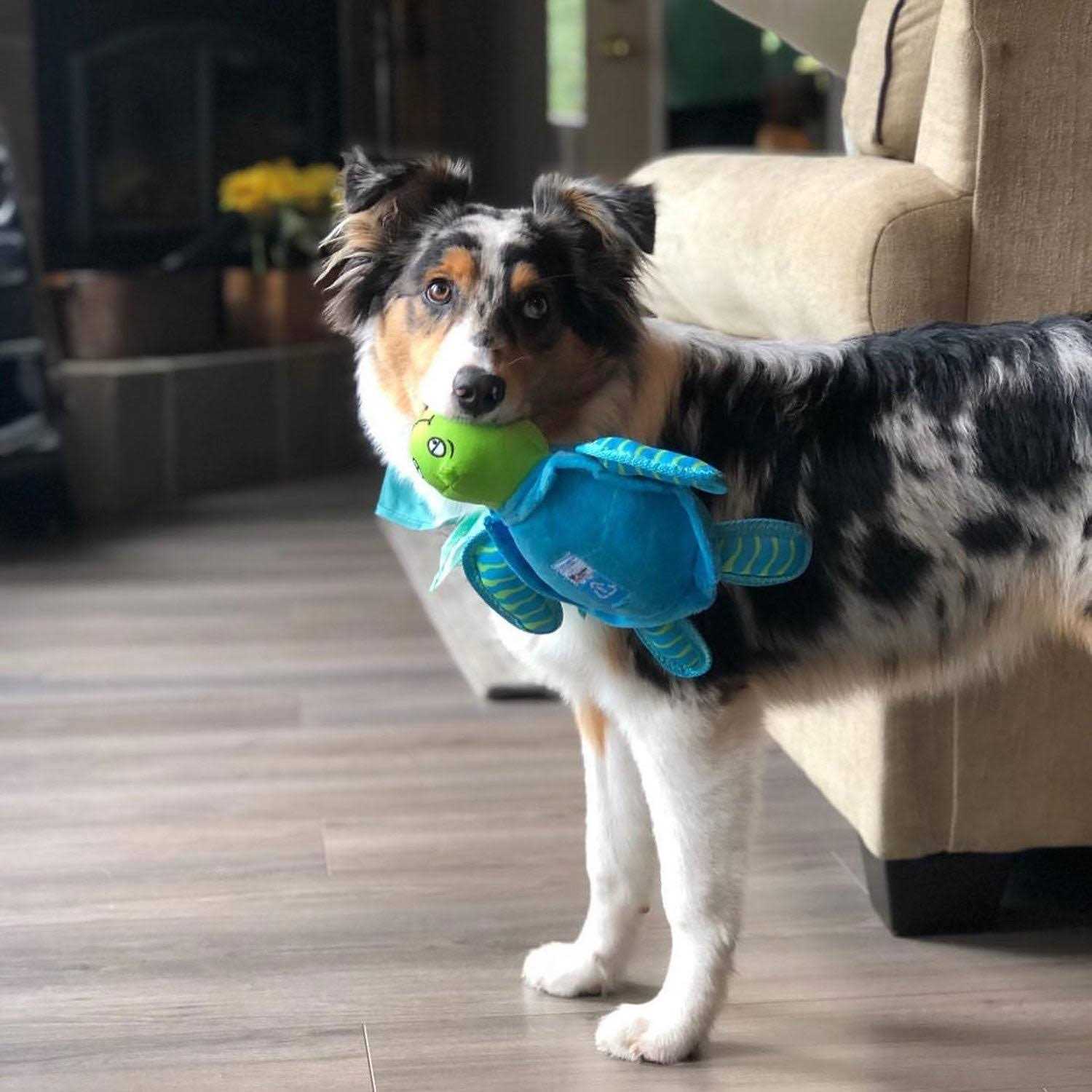 Spunky Pup Clean Earth Plush Turtle Dog Toy - Pet Supplies online store