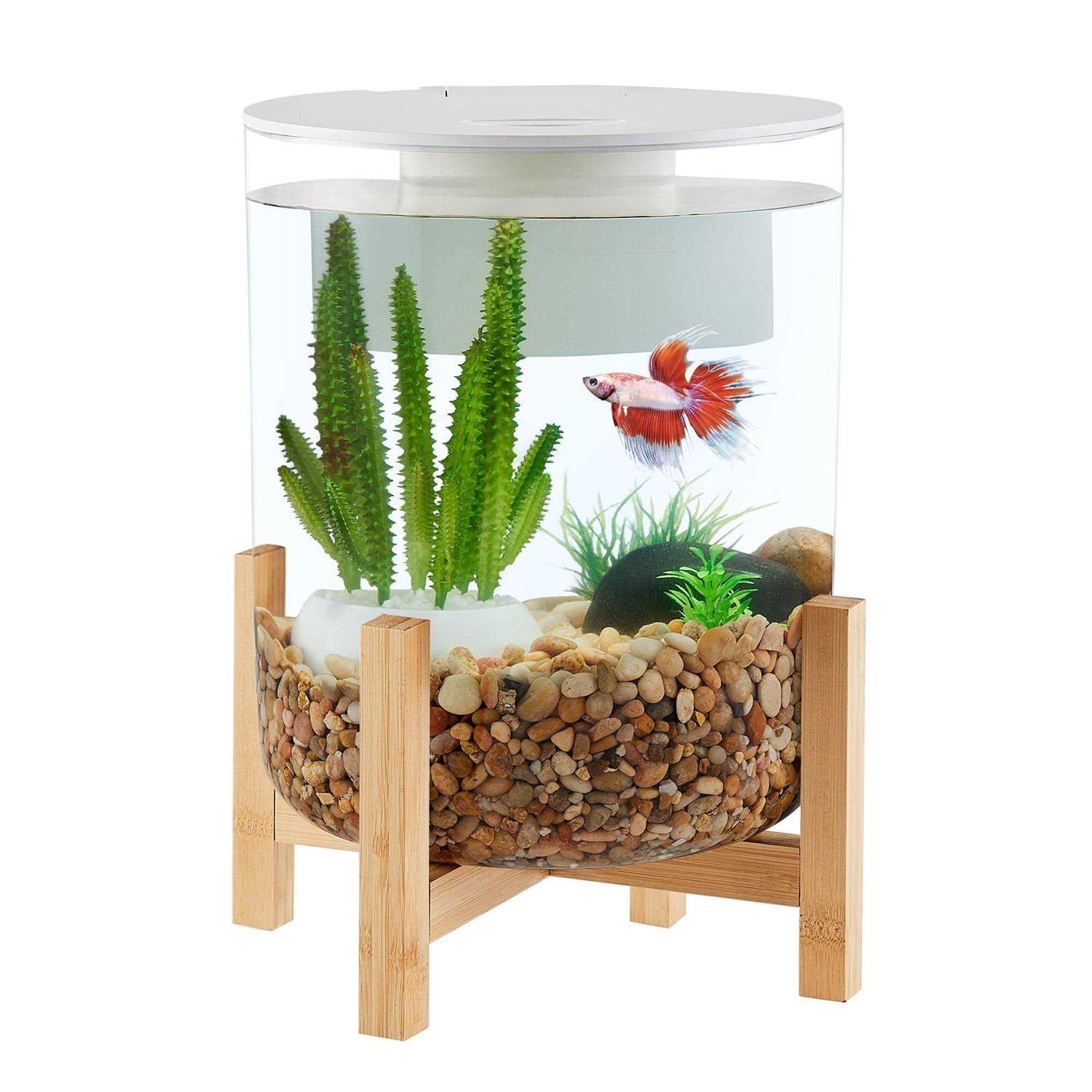 Top Fin Bamboo Baseal Aquarium - Pet Supplies online store