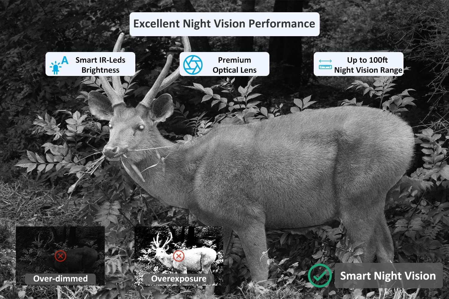 Meidase P100 WiFi Trail Camera (2022), 32mp 1296p, Game Cameras with 100ft Night Vision Motion Activated Waterproof, Compatible with Bluetooth, Dedicated Phone App