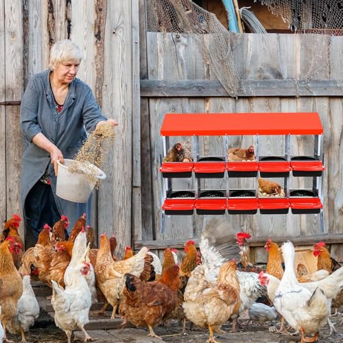 Chicken Nesting Box, 10 Hole 2 Layer Hen Nest Box with Legs, Roll Away Eggs Laying Boxes,Cleanable Pull Out Hen Roosting Boxes