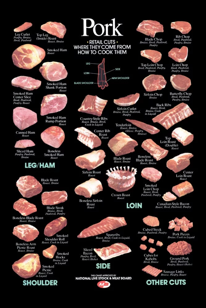 Pork Cuts Poster Butcher Chart 27Inx40In for any room 27x40 Multi-Color Square Adults Best Posters