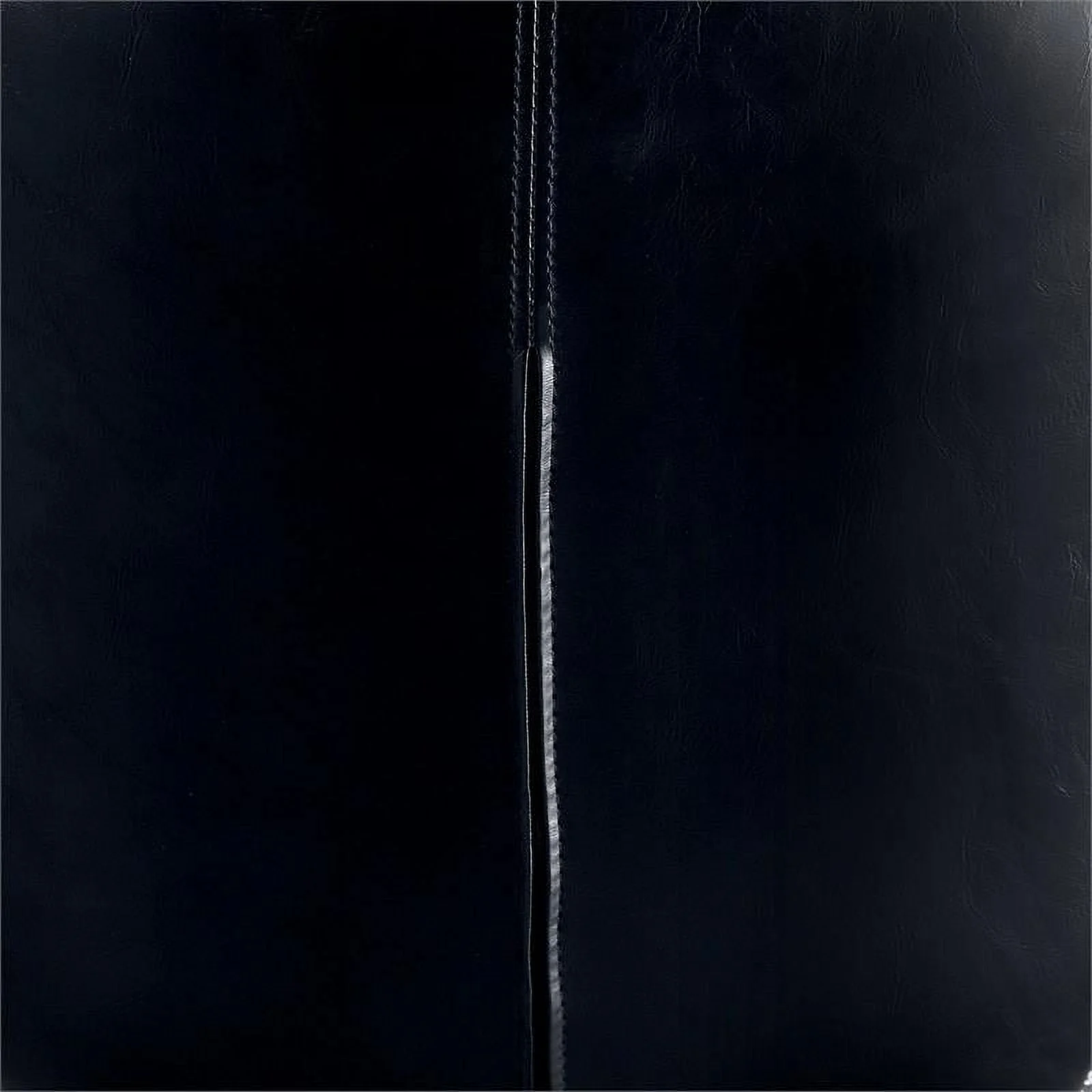 Furniture of America Shara Faux Leather Upholstered Accent Chair in Black