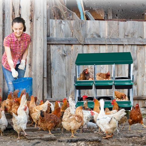 Chicken Nesting Box, 10 Hole 2 Layer Hen Nest Box with Legs, Roll Away Eggs Laying Boxes,Cleanable Pull Out Hen Roosting Boxes