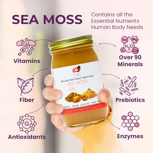 Healthy Herbs Sea Moss Gel (Elderberry) Wildcrafted from Jamaican St Lucia Gold Seamoss | Wild-Harvested Superfood With Over 90 Essential Vitamins & Minerals | Vegan, Non-GMO, US-Made (16 oz.)