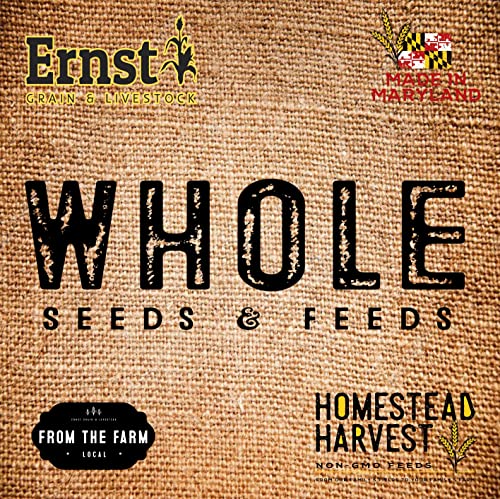 Ernst Grain's Oats, Feed Grade, 50 lb