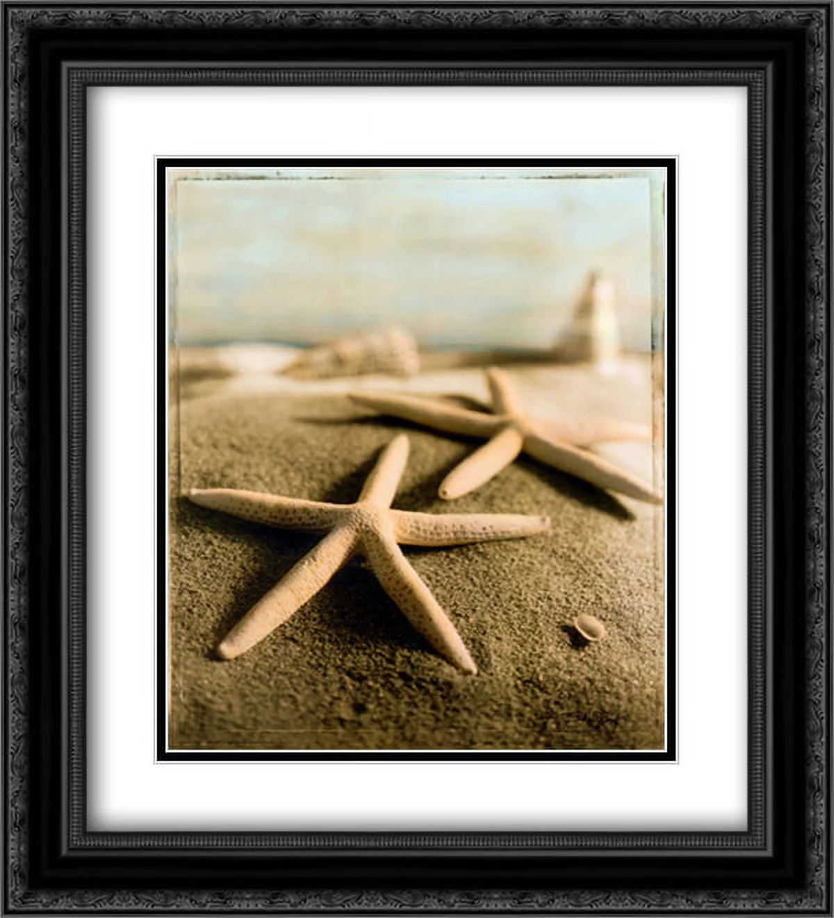 Seashell IV 2x Matted 15x18 Black Ornate Framed Art Print by Wampler