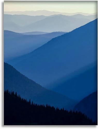 Bathroom Wall Art Decor Bathroom Pictures for Wall Artwork Spawning Salmon Framed Canvas Wall Art for Bedroom Dining Room Farmhouse 16