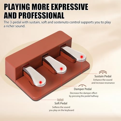 Ktaxon Digital Piano 88-Key Weighted Action Electric Piano with 3-Pedal Unit, Double Bluetooth, Split/Touch/Transpose Control Functions(Black)