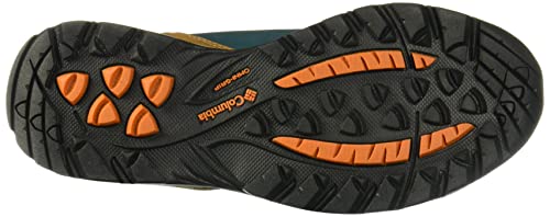 Columbia Women's Newton Ridge Plus Hiking Boot