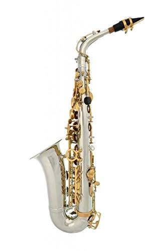 Lazarro Professional Silver Body-Gold Keys Eb E Flat Alto Saxophone Sax with 11 Reeds, Case u0026 Many Extras - 360-2C